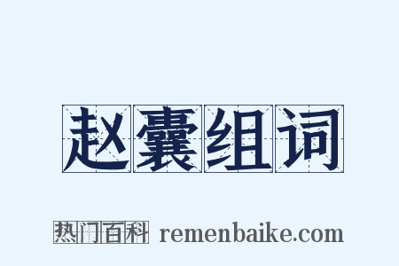 赵囊组词是什么意思的图片